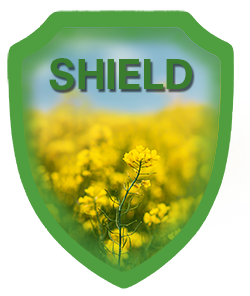 SHIELD Program Logo