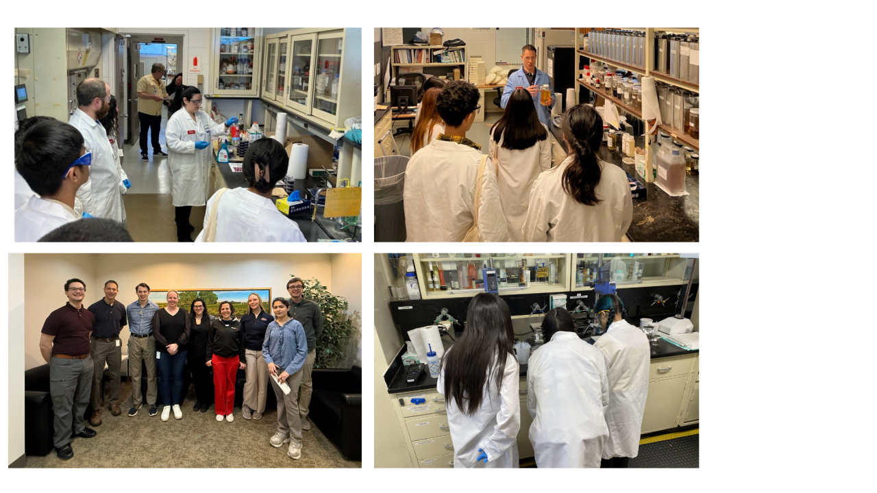 day-in-the-lab-for-field-trip